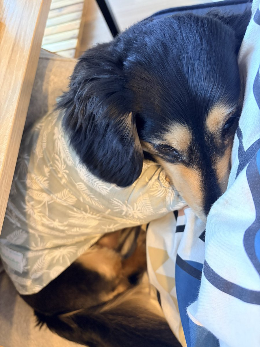 *:.｡. ℕ𝕒𝕥𝕤𝕦𝕞𝕚 .｡.:* tweet media