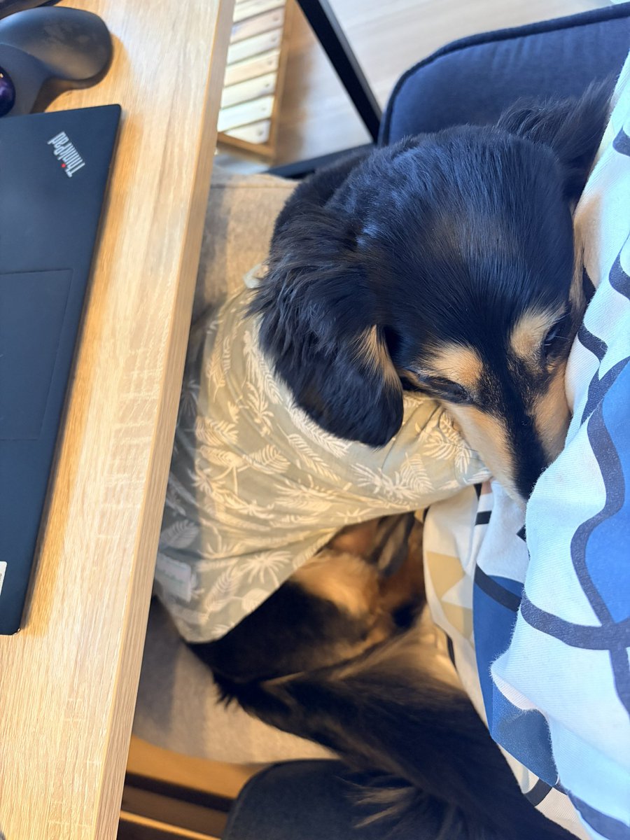 *:.｡. ℕ𝕒𝕥𝕤𝕦𝕞𝕚 .｡.:* tweet media