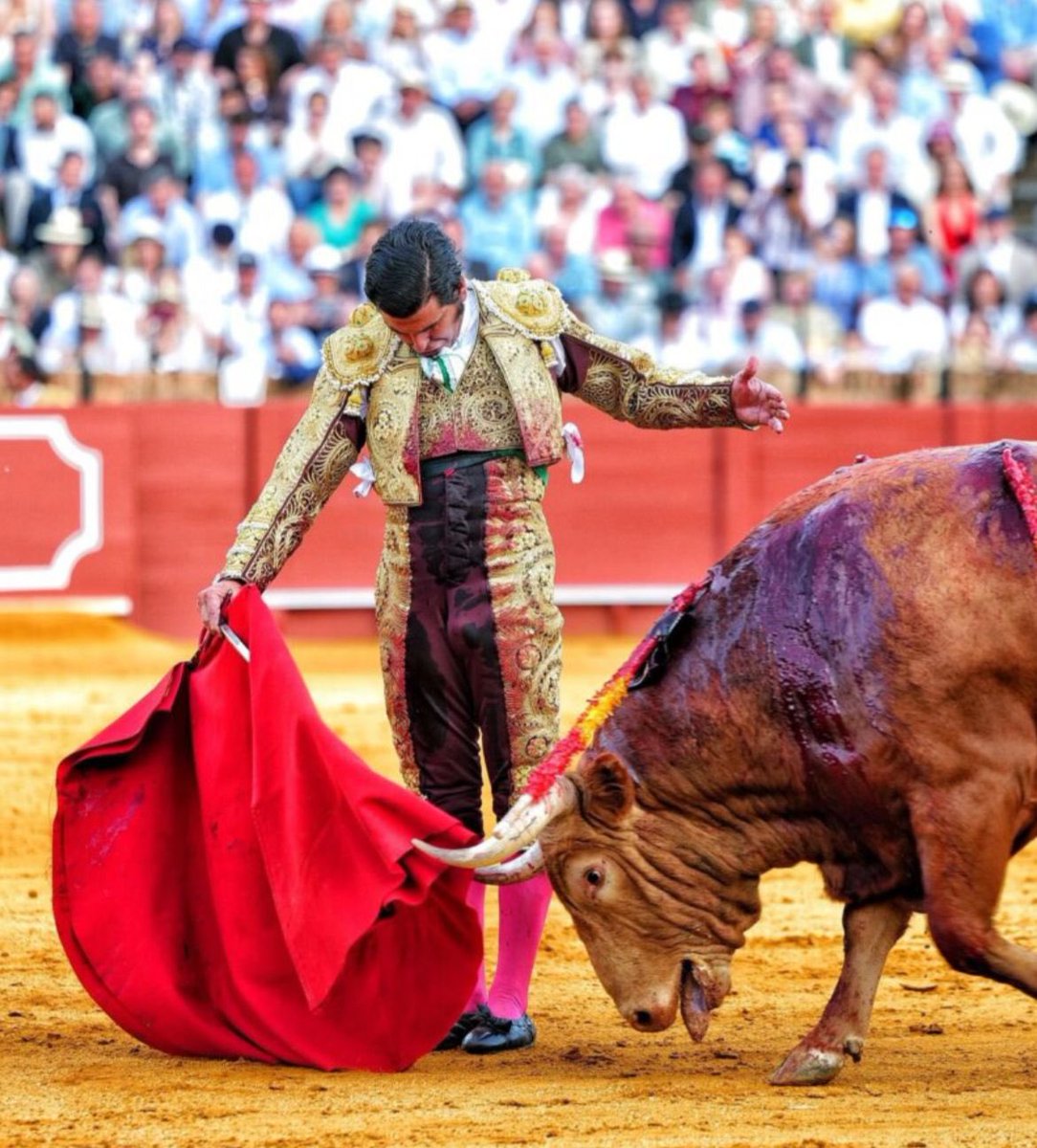 Para mí, la mejor foto del gran día.