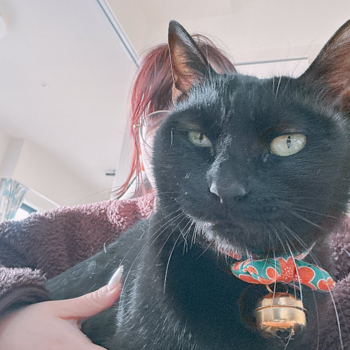 みそむー@財布持った？！ tweet media