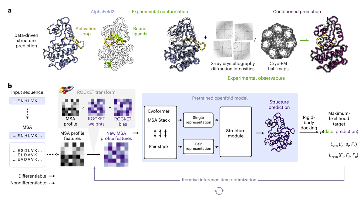 CbirtDirector's tweet photo. ROCKET Transforms AlphaFold2 into an Experiment-Driven Structure Modeling Tool

Quick Read: https://t.co/hLSrwT8QQc

#Bioinformatics #StructuralBiology #Proteomics #AlphaFold #MachineLearning #CryoEM #NatureMethods #DrugDiscovery #ComputationalBiology #ScienceNews https://t.co/b2eKackR5K