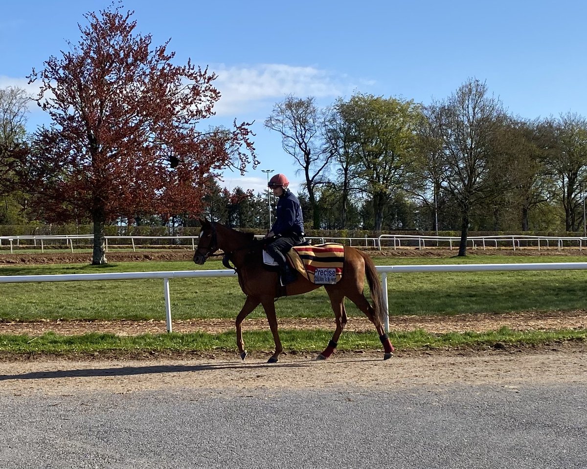 Adam Morgan tweet media