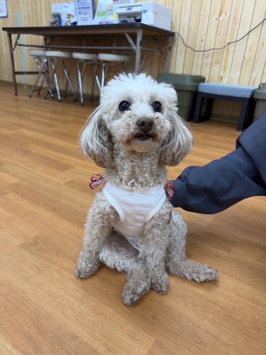 NPO法人LoveFive tweet media