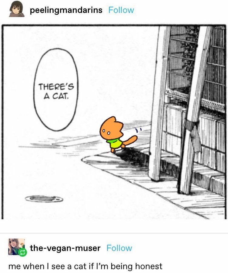 TENGUCICA tweet media