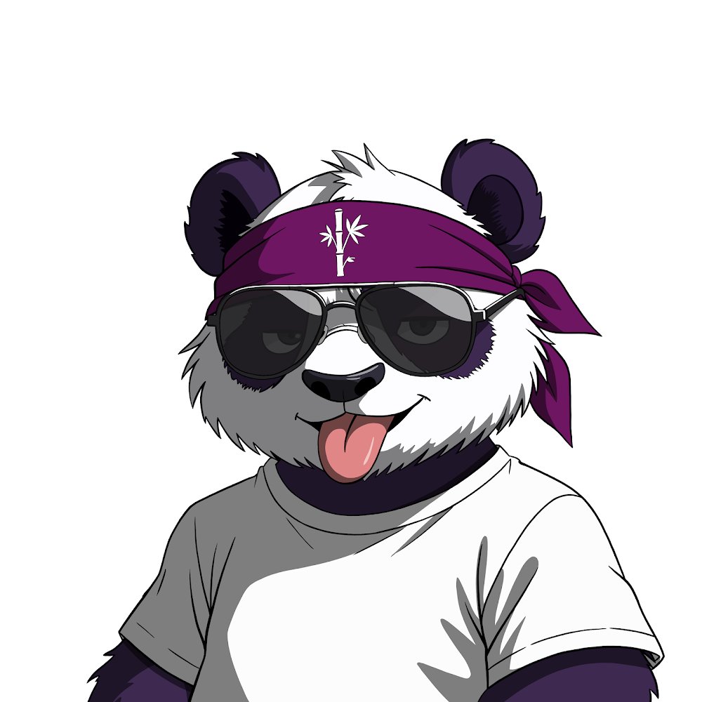 Trvp_Boy_FERG's tweet photo. @captain_Rufus @PandasOnSol_ Let's freakin gooooo Pandas 💯🔥🐼🚀 https://t.co/6WLmv6LoVC