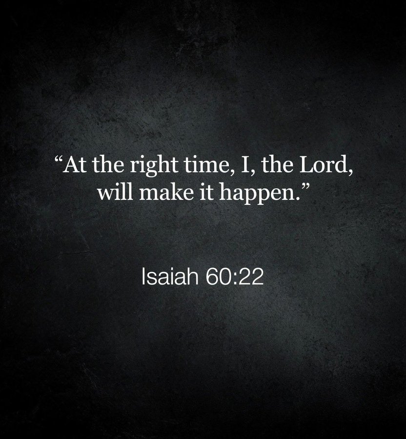 Bible 365 tweet media