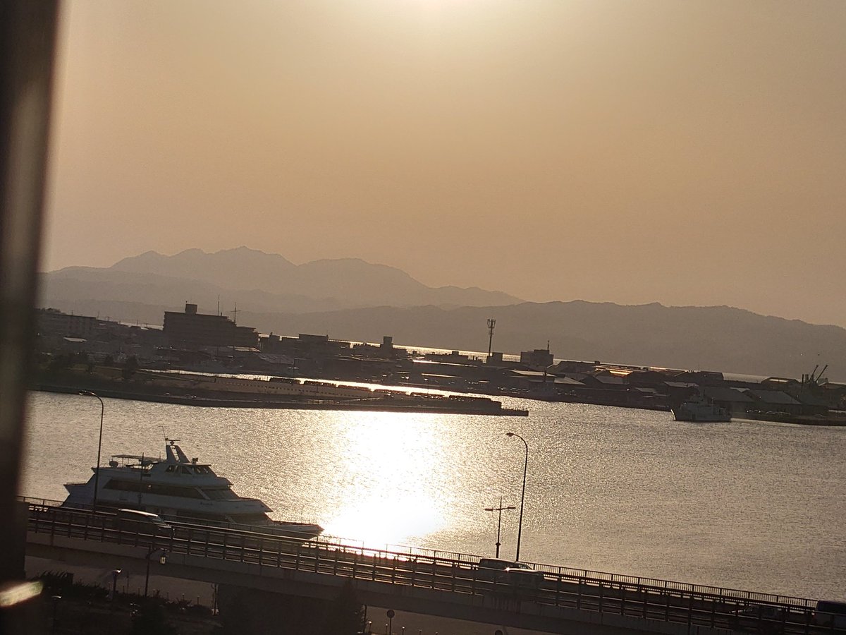 亀ちゃん tweet media