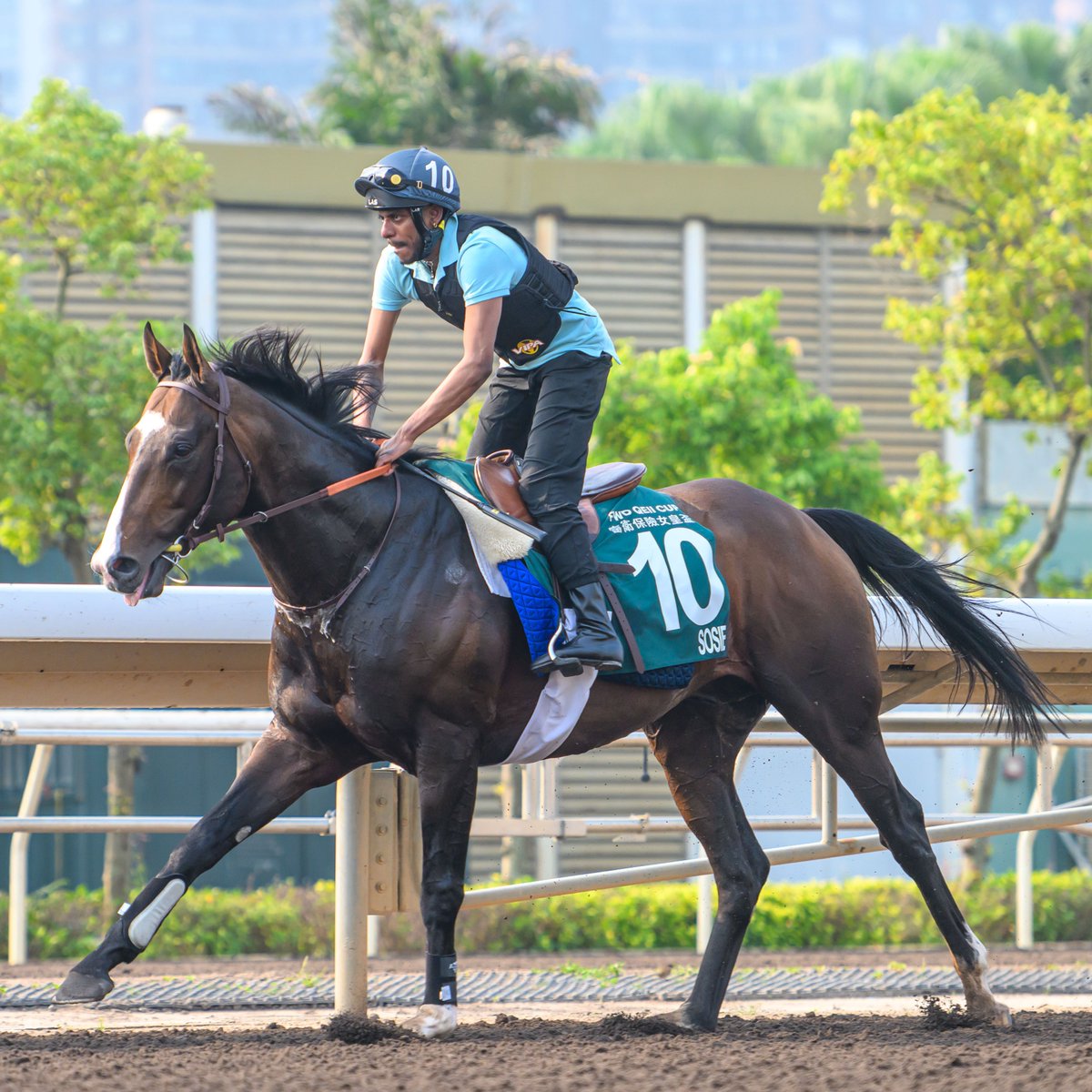 Hong Kong Racing tweet media