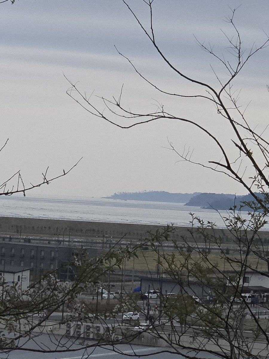 ✮*｡ﾟ💚いづみん💚✮*｡ﾟ tweet media