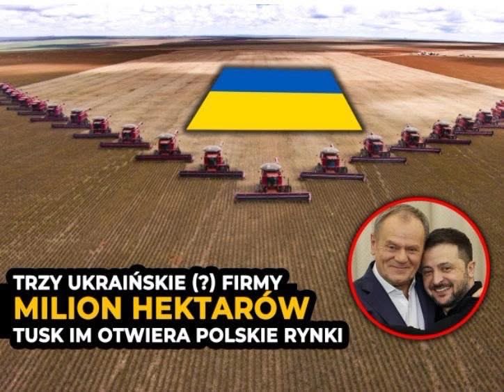 Krzysztof Mulawa tweet media