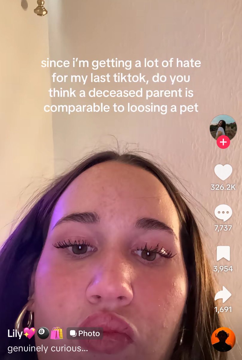 vedetta | jinx of shedtwt tweet media