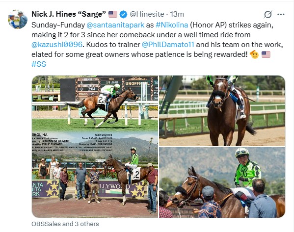 Nick J Hines AKA "Phony Sarge" (Parody) tweet media