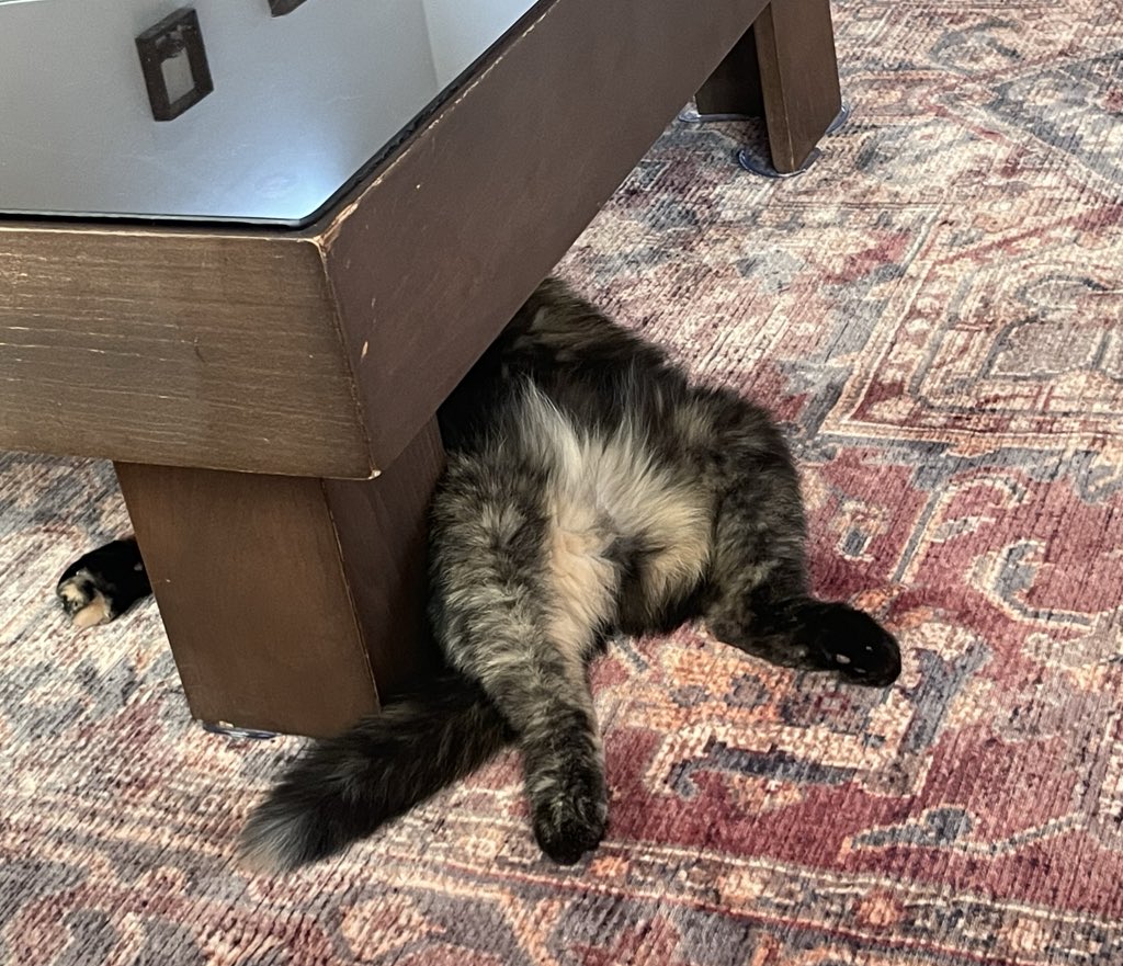 ذی‌ن‌ذی‌ tweet media