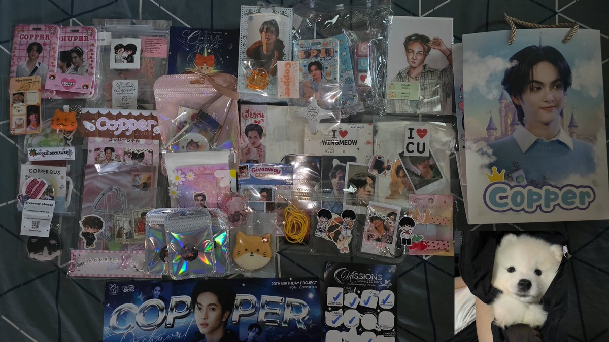 ✩ bornor.cu 𐙚🐰🐈 tweet media