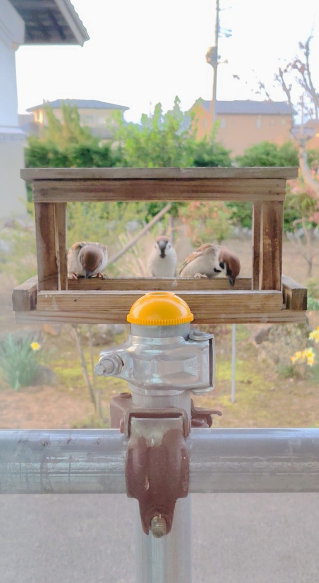 ゆみぞー tweet media