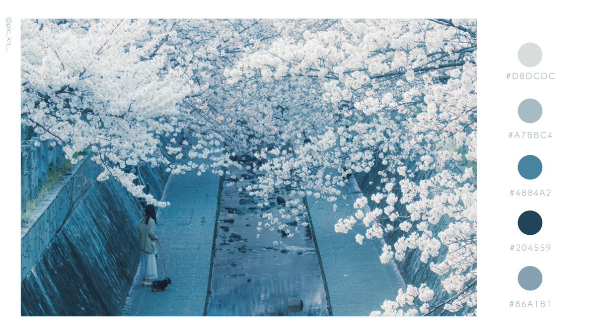 ひとひらのゆくえ