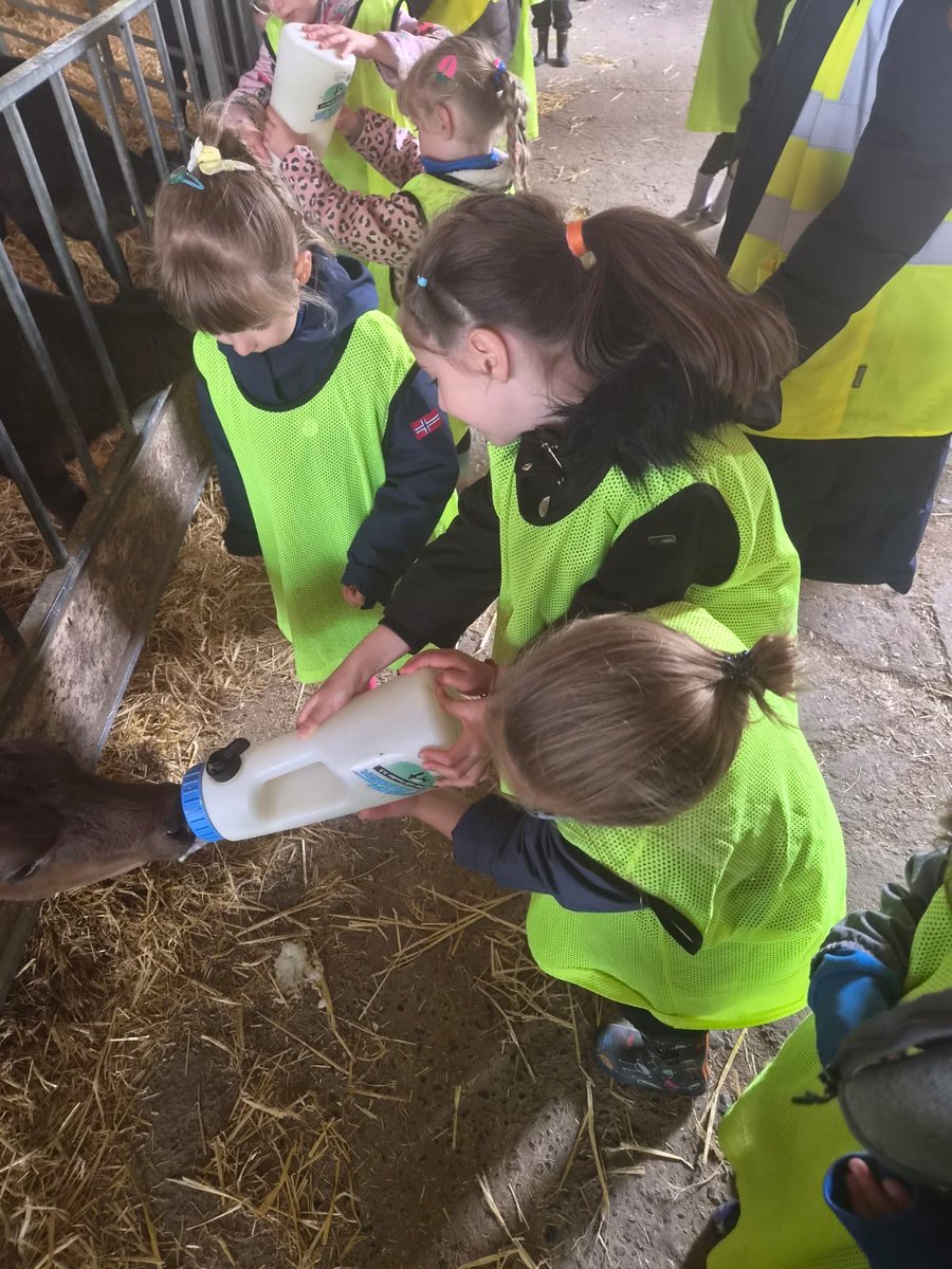 New Horizons Academy Trust Seaside Primary tweet media