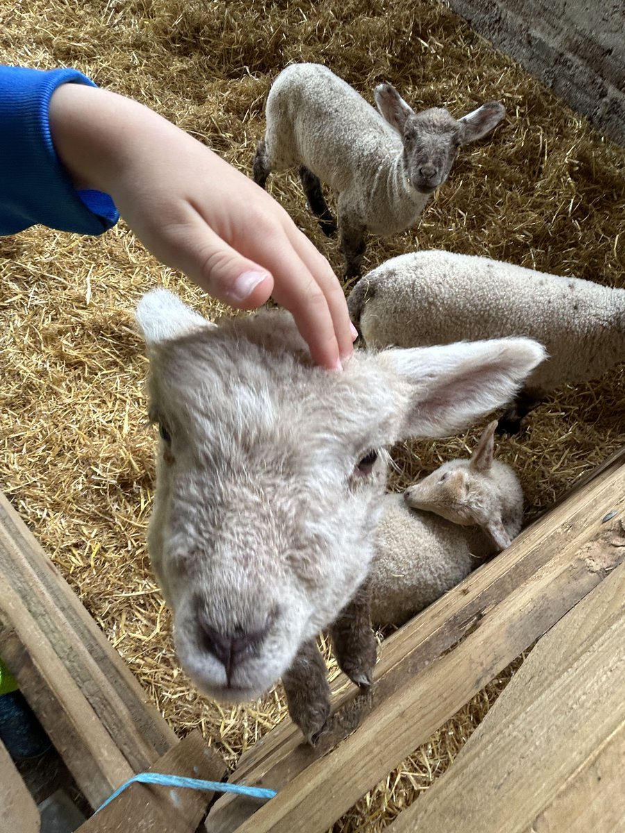 New Horizons Academy Trust Seaside Primary tweet media