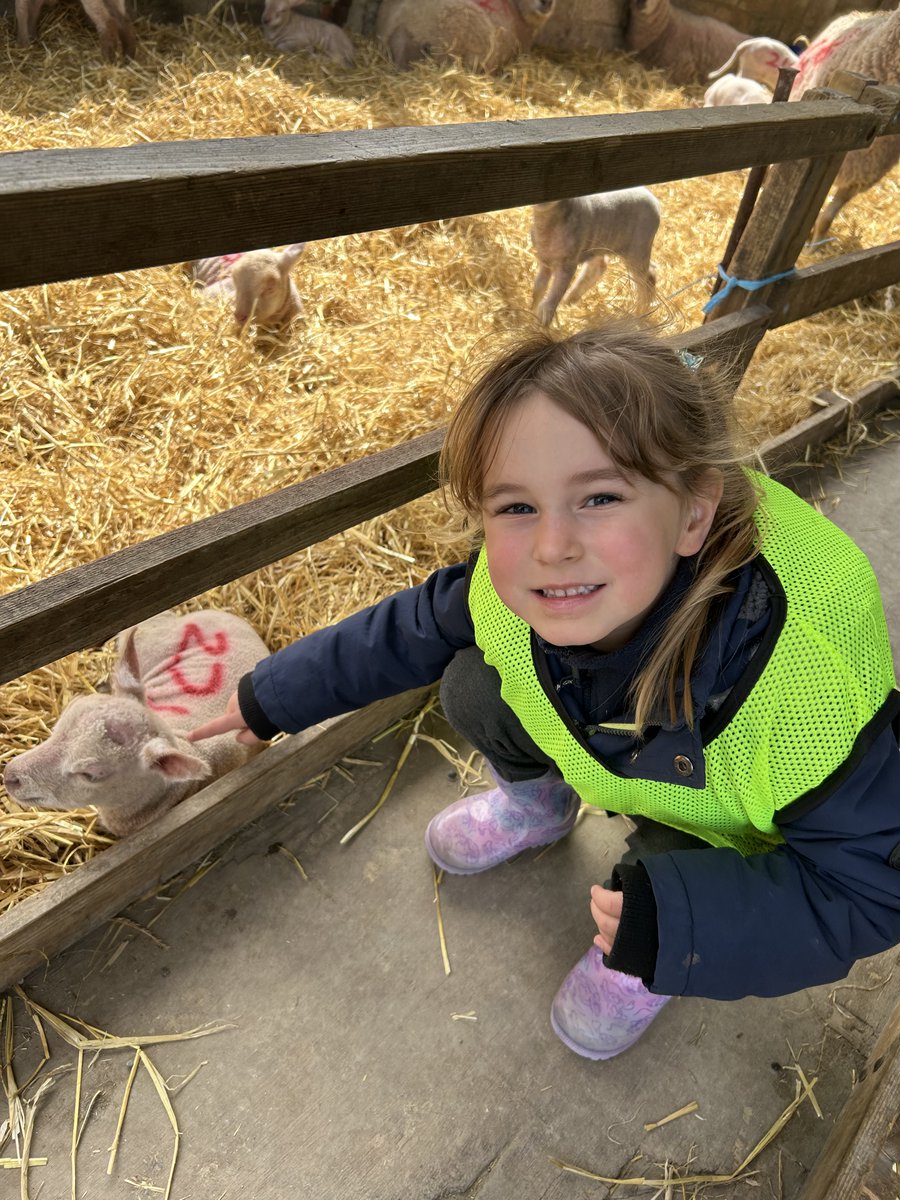 New Horizons Academy Trust Seaside Primary tweet media