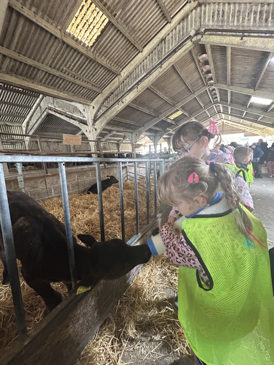 New Horizons Academy Trust Seaside Primary tweet media