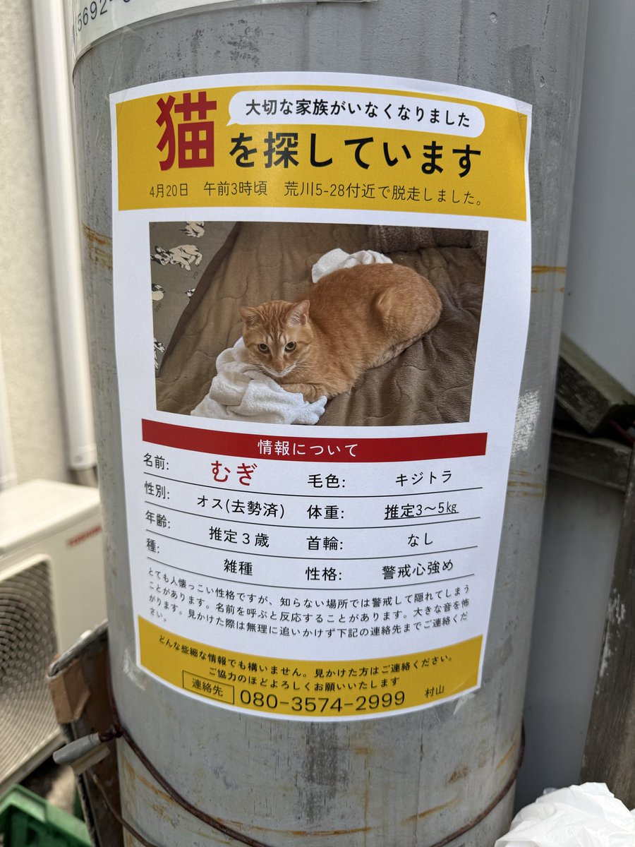 専業と副業のはざま。 tweet media