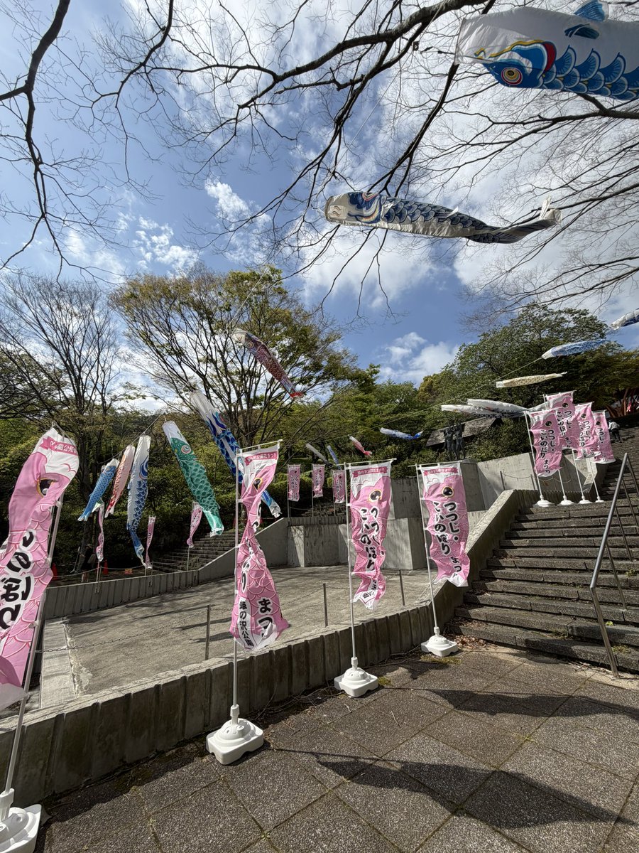 beautiful_Izu's tweet photo. 4月20日熱海姫の沢公園のつつじの様子です！
少しづつ花が開き始めています🌺
つつじ・こいのぼりまつりも開催中です！
#つつじ　#伊豆観光　#伊豆旅行 https://t.co/mR9kiTYrzL