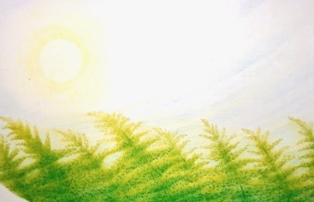 平岡瞳 tweet media