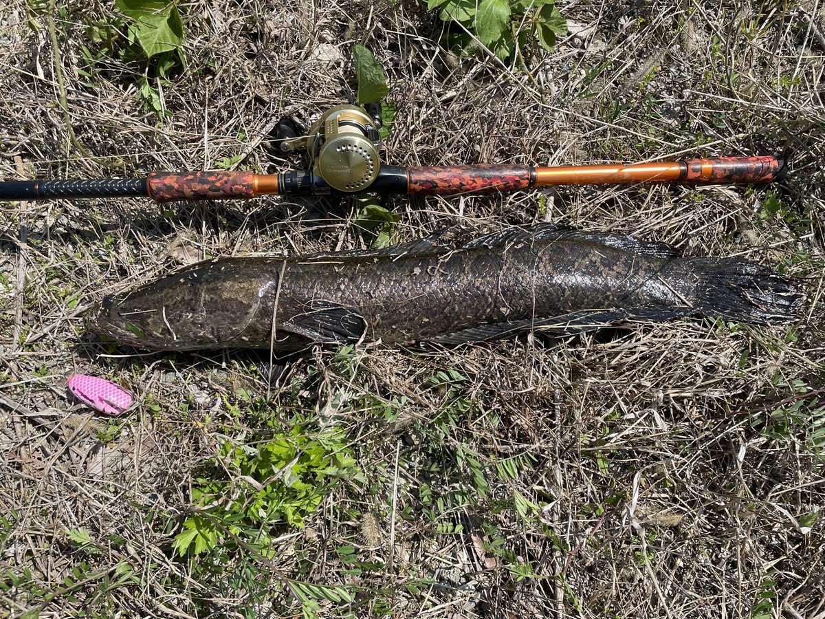 長原正則 tweet media