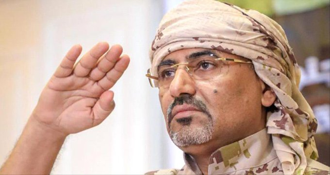 هاني مسهور tweet media