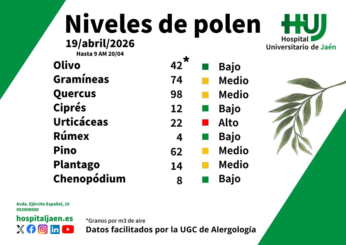 HospitalJaen's tweet image. Los índices de #polen de #gramíneas, #urticáceas, #quercus y #plantago se sitúan en niveles medios