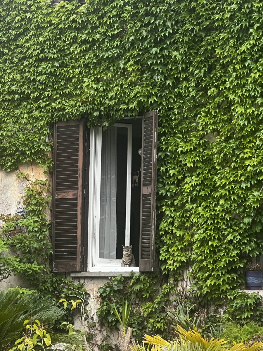 MinervaArmata's tweet image. L’osservatore
#Roma Ostia