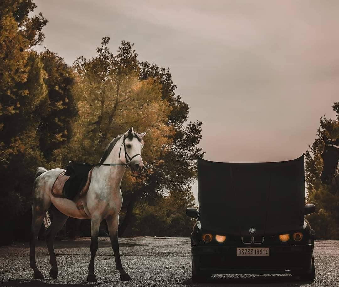 Di Maria irk tweet media