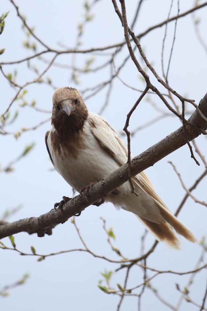 Татьяна Николаевна tweet media