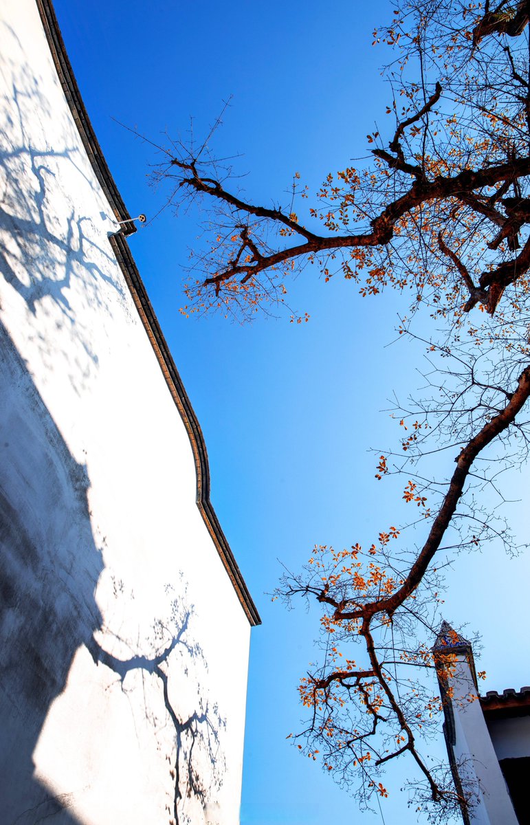 Regis Gautier tweet media