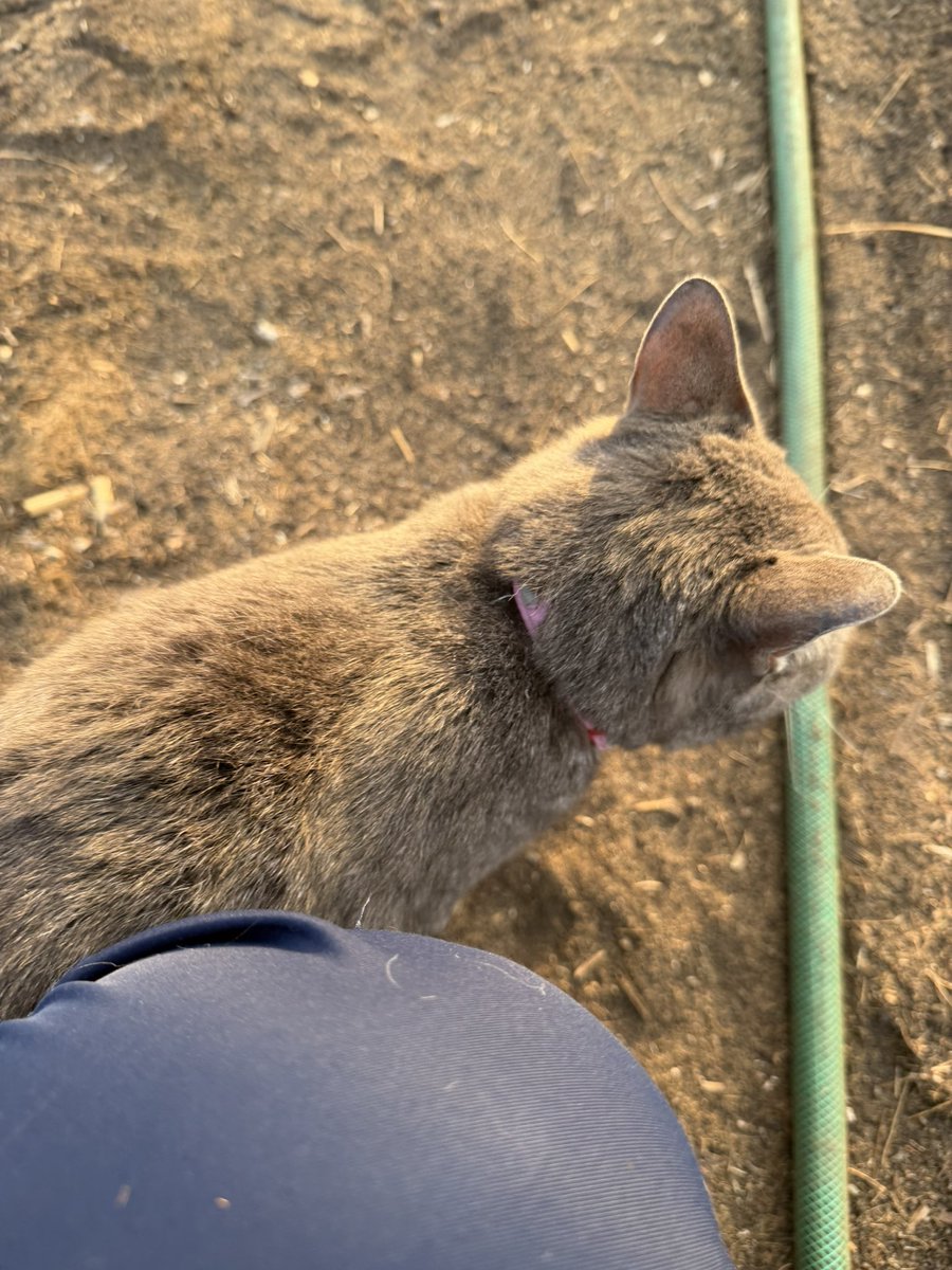 ひ か り tweet media