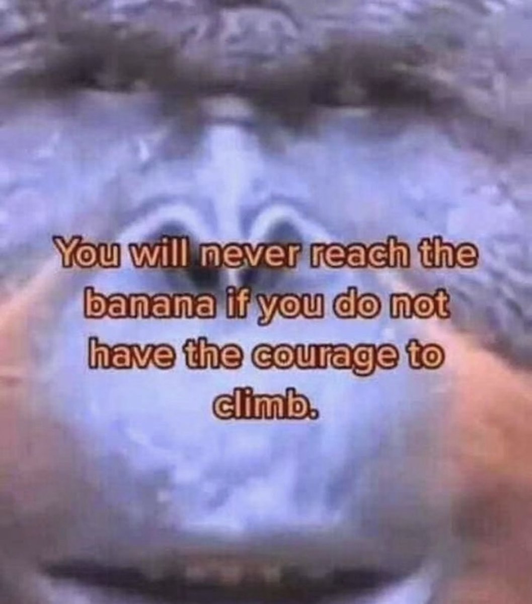 Respectful Memes (@respectfulmemes) on Twitter photo 