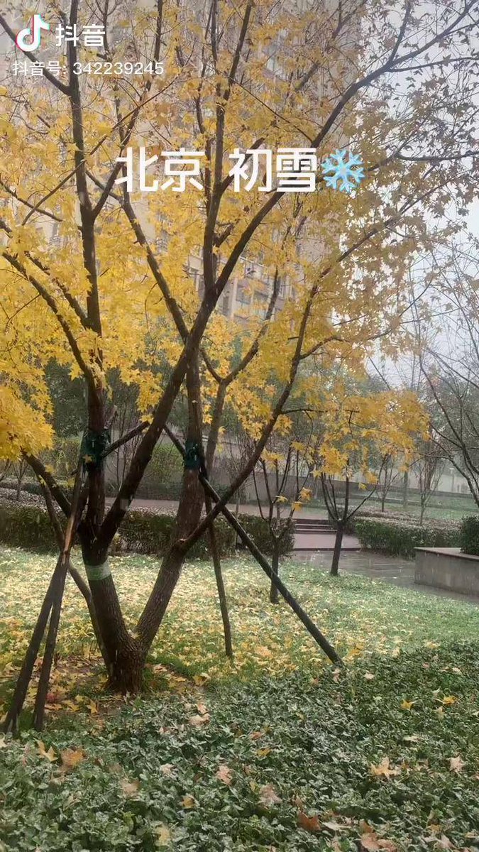 Ut Efohrn tweet media