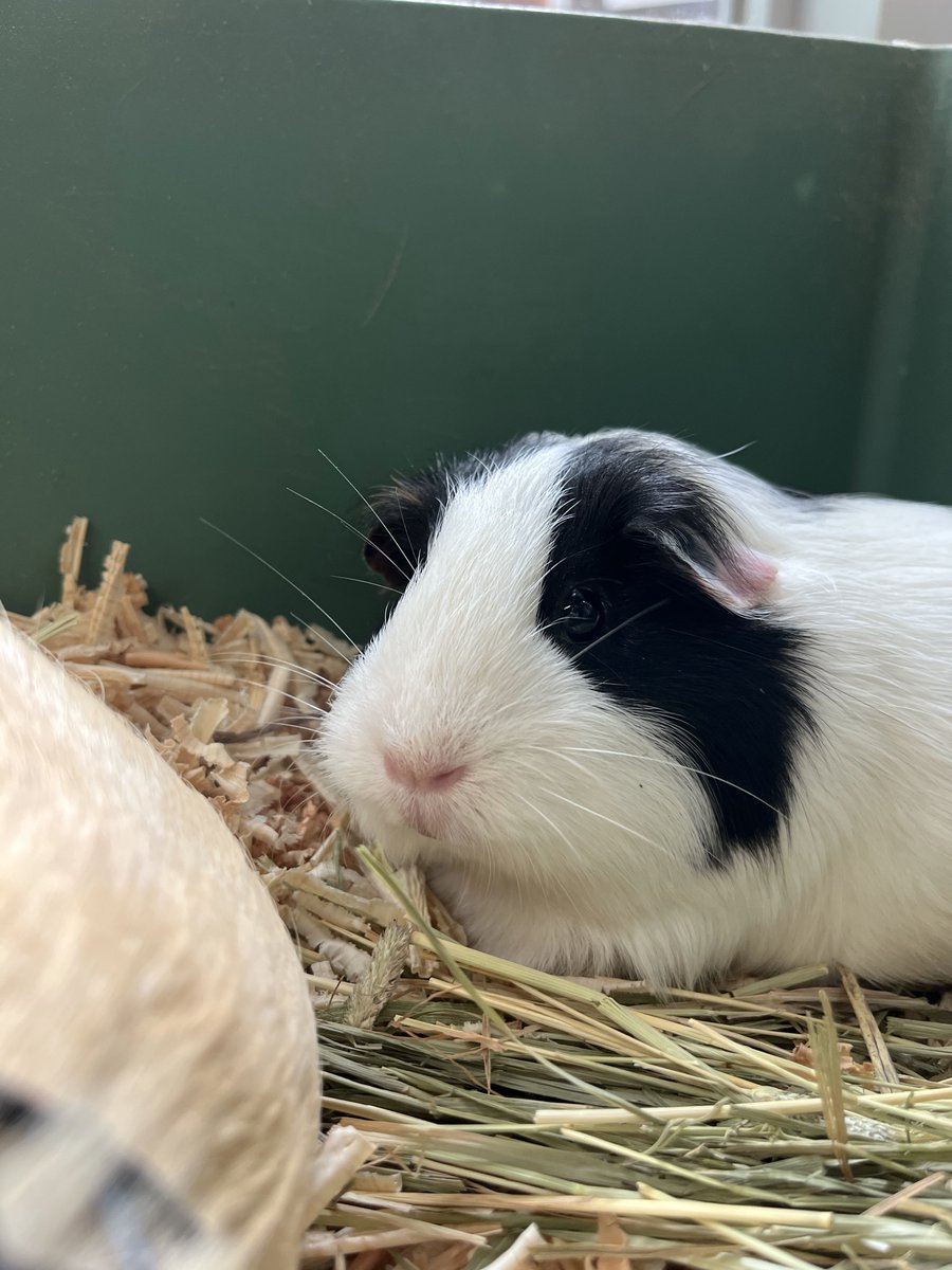 足立区生物園 tweet media