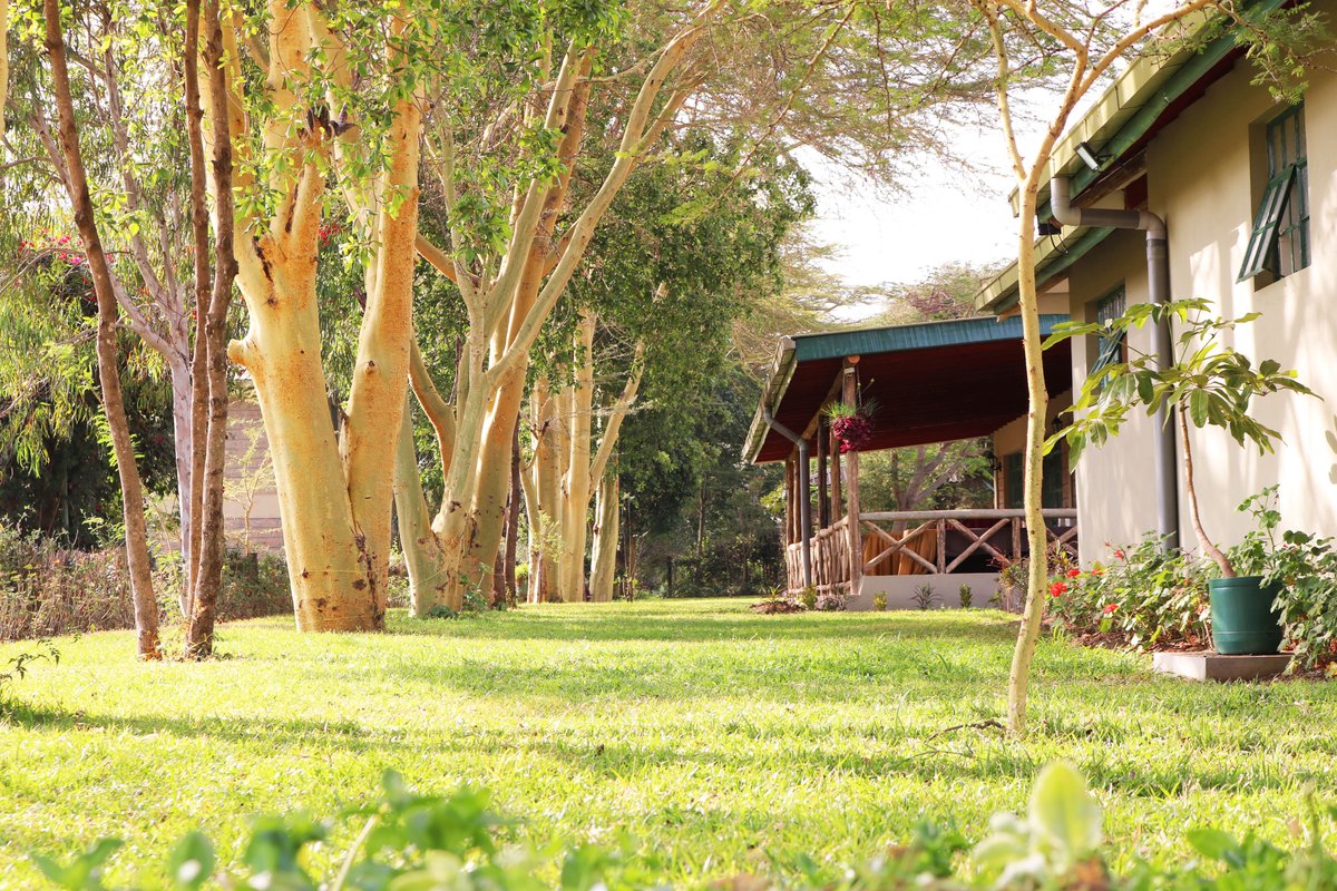 Maanzoni_Lodge's tweet image. For bookings and enquiries, reach us on;
📞 +254 705 640 275
✉️ info@maanzonilodge.co.ke
maanzonilodge.co.ke
#conference #meeting #convention #training #teambuilding #workshop #nature #luxury #naturelovers #success #productivity #AGM #serenity #lodge #accommodation