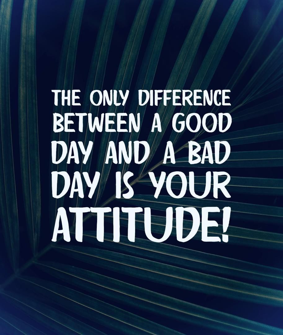 IPMEnquiry's tweet image. 💎💎 The only difference between a good day and a bad day is your attitude‼️ 🔥🔥🚀🚀🎯🎯

#IPMProfessionalServices #MondayQuotes #MotivationMonday #StayFocused #HustleHardDaily #WinningMindset #ChaseExcellence #DrivenToSucceed #KeepClimbing #UnleashPotential #NoLimitsOnlyGoals