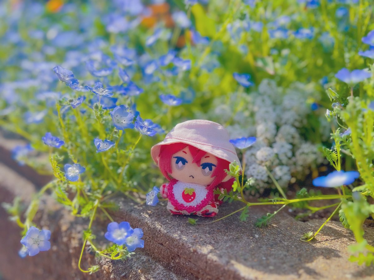 お散歩🍼
#ツイステぬい撮り部 
#twstぬい撮り部