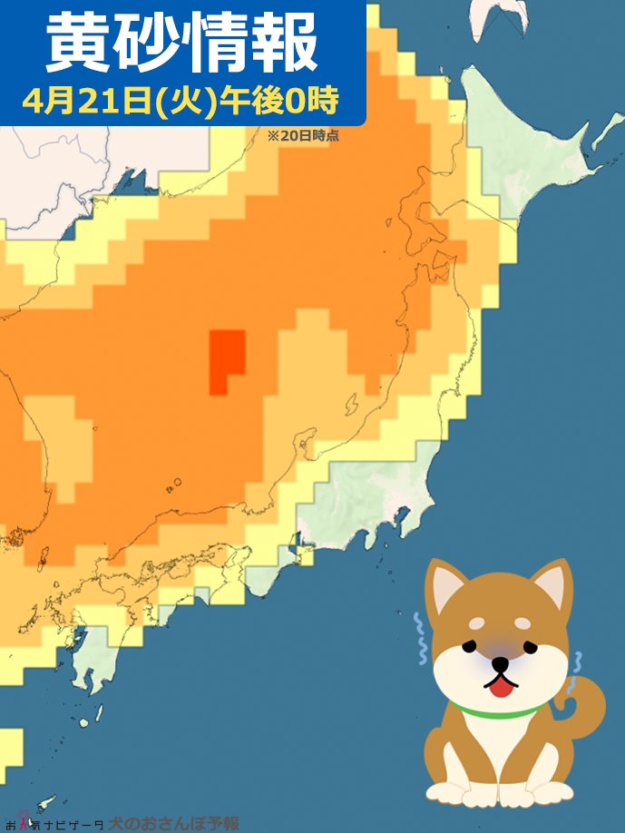 🚨黄砂に注意🚨

きょうは広い範囲で黄砂が飛来予想⚠️
ワンちゃんも人と同じように
影響を受けることがあります🐶💦

お散歩は飛散予想をチェックして時間を調整したり、
帰宅後にかゆみやくしゃみなど気になる様子があれば
早めに動物病院で診てもらいましょう☝️

⚠️犬の黄砂・花粉・PM2.5について