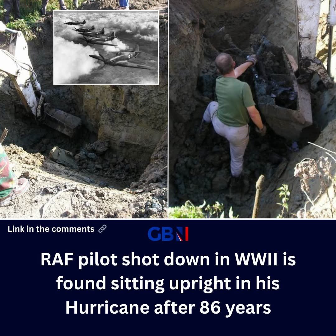 The English Crusader tweet media