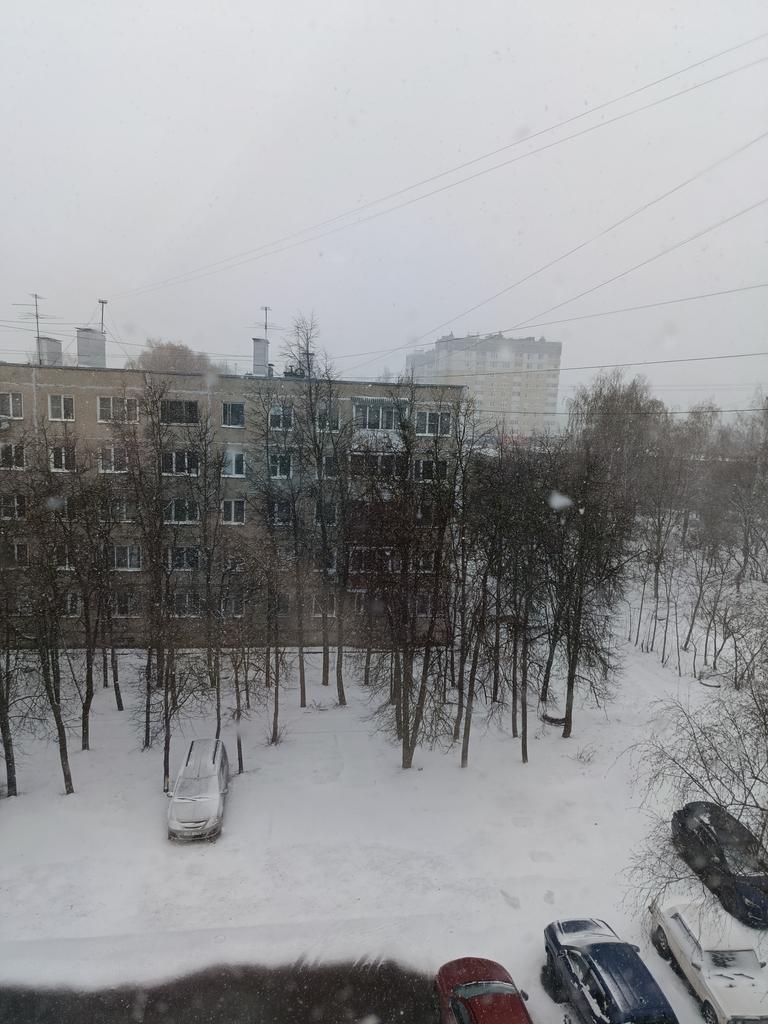 Девочка-страна tweet media