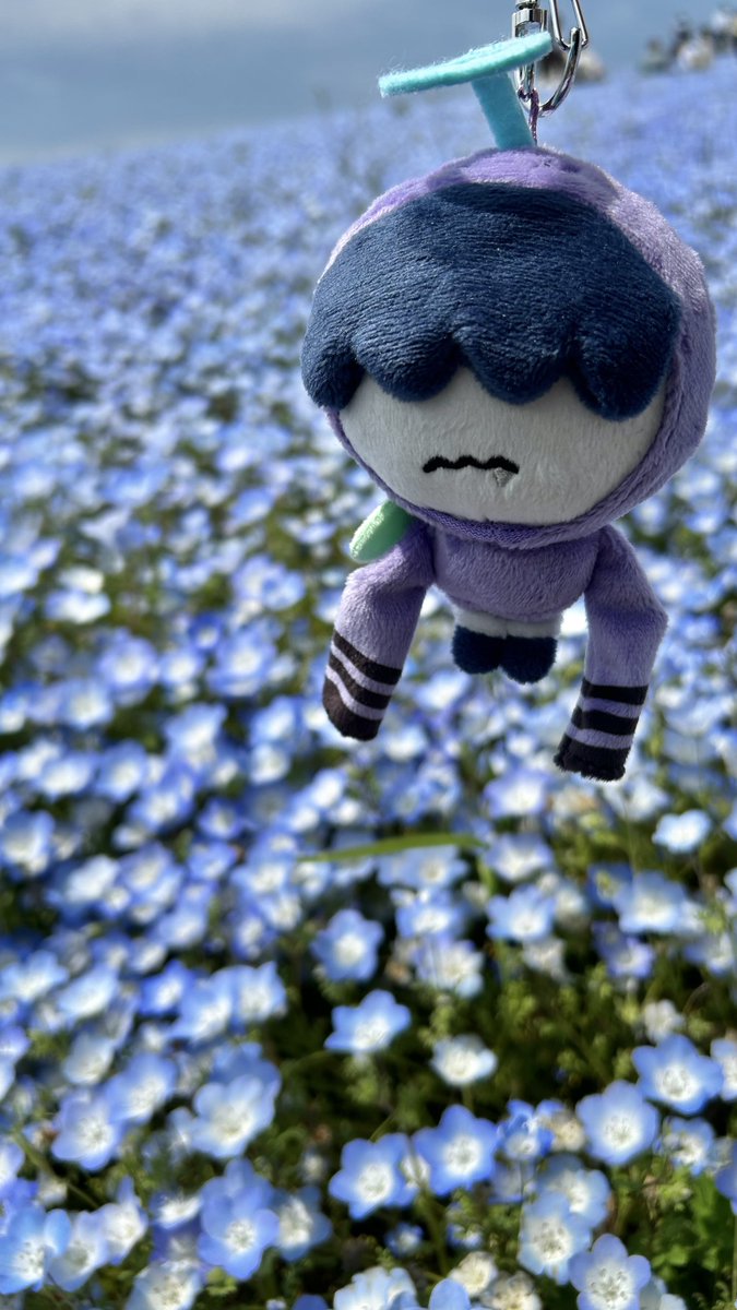 yamabuki tweet media