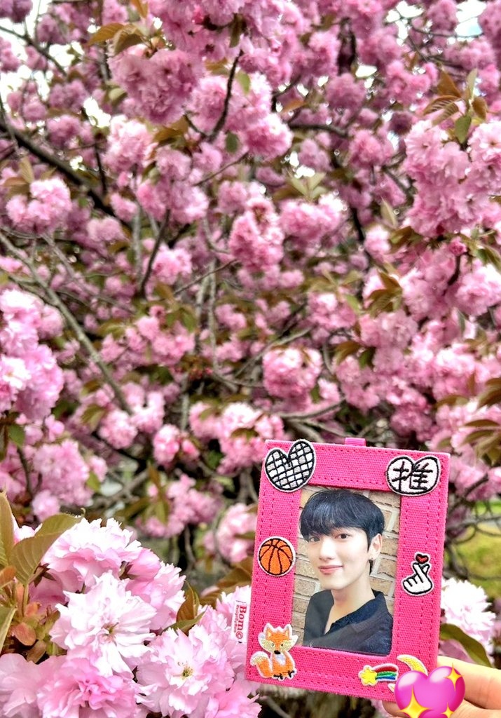 moonbow_vvs's tweet photo. 영광이랑 JURRO랑, 늦게 피는 겹벚꽃🌸
조금 늦게 피는 벚꽃처럼,
천천히라도 꼭 다시 만날 수 있는 날이 온다고 믿어요🦊💙
VANNEE 캐릭터는 마음에 살며시 다가와 주는 힐링.
VANNER도 VANNEE도, 만나게 된 것에 감사해요🫂
#VANNER #영광
#VANNEE #JURRO 
#VANNEE_WORLD https://t.co/6q43z9LeCh