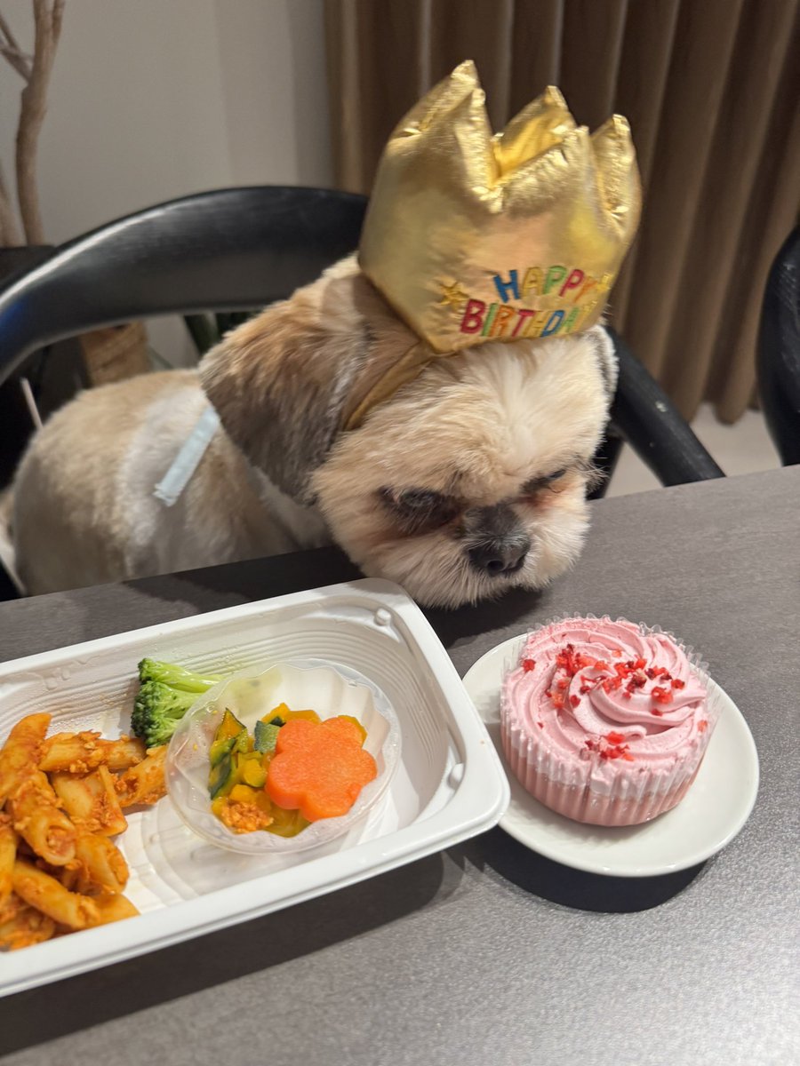 k_sn0104's tweet photo. 4.18
べあたん4歳おめでとう🥰 https://t.co/wflJDSTanx