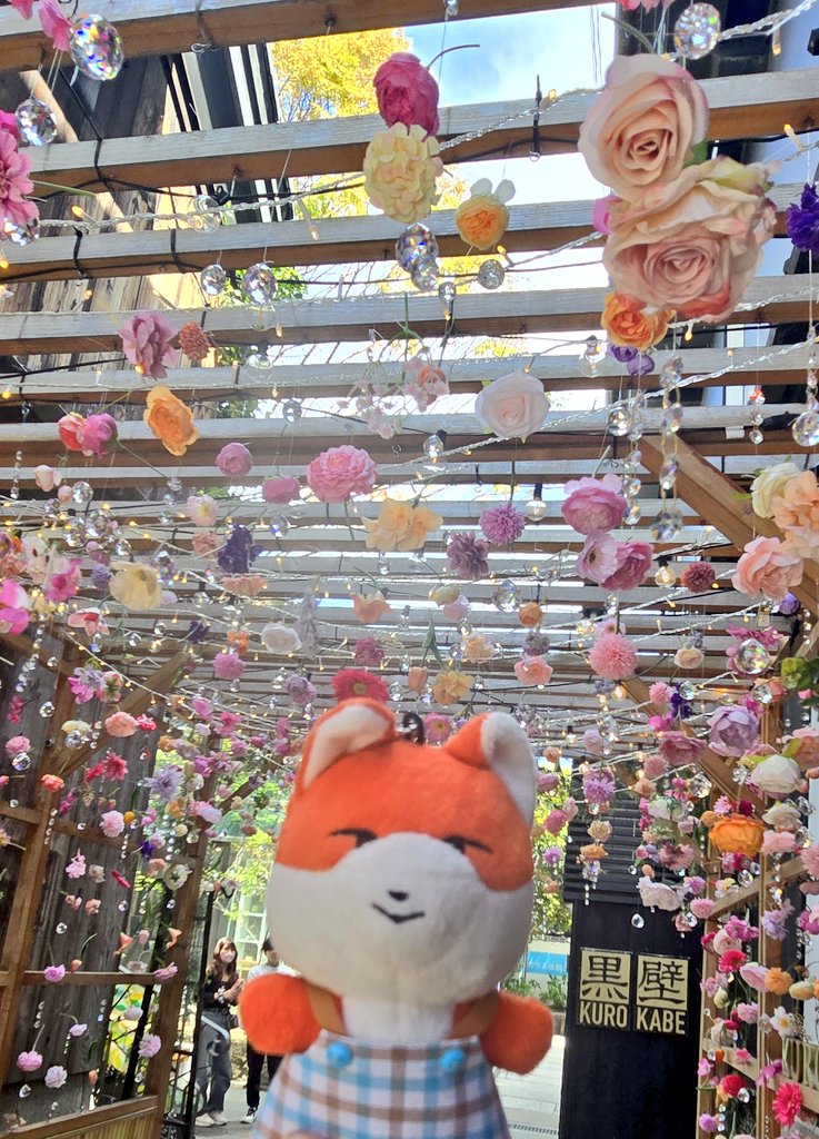 moonbow_vvs's tweet photo. 영광이랑 JURRO랑, 늦게 피는 겹벚꽃🌸
조금 늦게 피는 벚꽃처럼,
천천히라도 꼭 다시 만날 수 있는 날이 온다고 믿어요🦊💙
VANNEE 캐릭터는 마음에 살며시 다가와 주는 힐링.
VANNER도 VANNEE도, 만나게 된 것에 감사해요🫂
#VANNER #영광
#VANNEE #JURRO 
#VANNEE_WORLD https://t.co/6q43z9LeCh