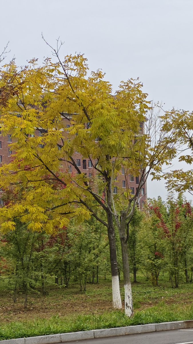 Eren Özkan tweet media