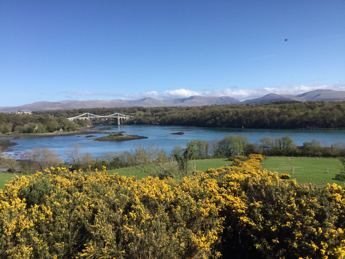 deering_w's tweet image. It’s taken a long time but spring has finally arrived in #Anglesey ⁦@AngleseyScMedia⁩